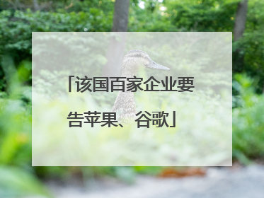 该国百家企业要告苹果、谷歌