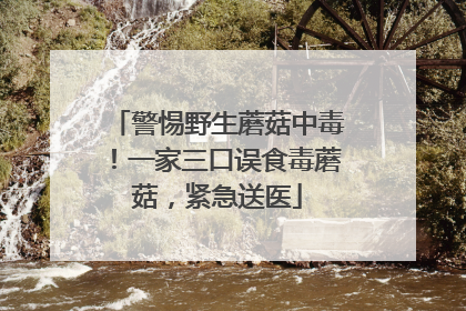 警惕野生蘑菇中毒！一家三口误食毒蘑菇，紧急送医