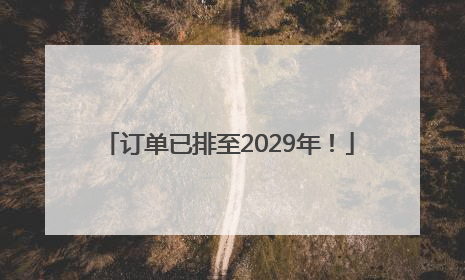 订单已排至2029年！