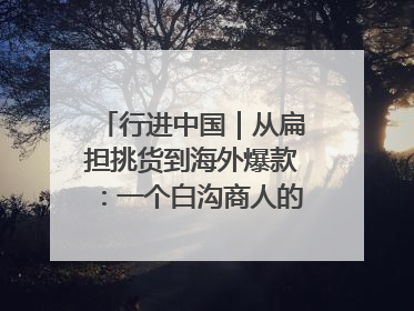行进中国｜从扁担挑货到海外爆款：一个白沟商人的三次“破圈”