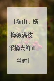 衡山：杨梅缀满枝 采摘尝鲜正当时