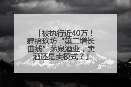 被执行近40万！肆拾玖坊“第二增长曲线”茅泉酒业，卖酒还是卖模式？