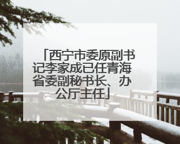 西宁市委原副书记李家成已任青海省委副秘书长、办公厅主任