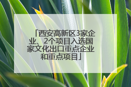 西安高新区3家企业、2个项目入选国家文化出口重点企业和重点项目