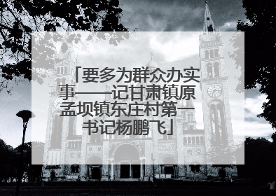 要多为群众办实事——记甘肃镇原孟坝镇东庄村第一书记杨鹏飞