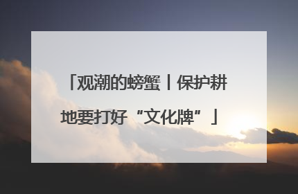 观潮的螃蟹丨保护耕地要打好“文化牌”