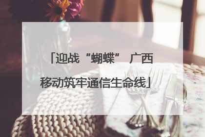 迎战“蝴蝶” 广西移动筑牢通信生命线