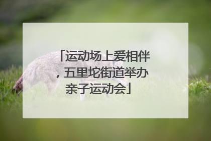 运动场上爱相伴，五里坨街道举办亲子运动会