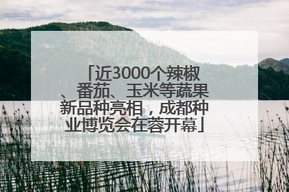 近3000个辣椒、番茄、玉米等蔬果新品种亮相，成都种业博览会在蓉开幕
