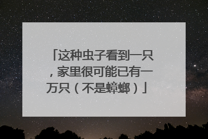 这种虫子看到一只，家里很可能已有一万只（不是蟑螂）