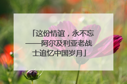 这份情谊，永不忘——阿尔及利亚老战士追忆中国岁月