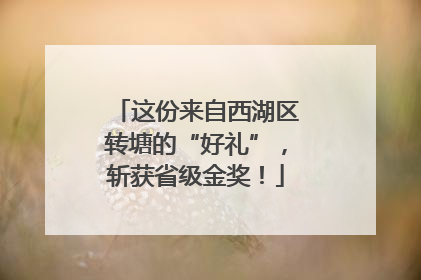这份来自西湖区转塘的“好礼”，斩获省级金奖！