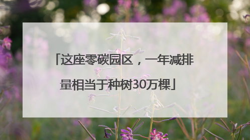 这座零碳园区，一年减排量相当于种树30万棵