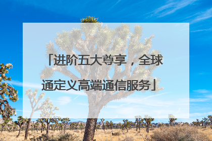 进阶五大尊享，全球通定义高端通信服务