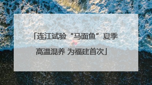 连江试验“马面鱼”夏季高温混养 为福建首次