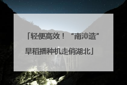 轻便高效！“南漳造”旱稻播种机走俏湖北