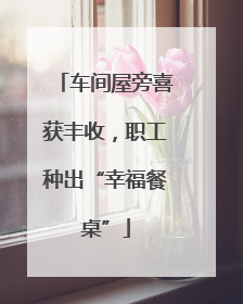 车间屋旁喜获丰收，职工种出“幸福餐桌”