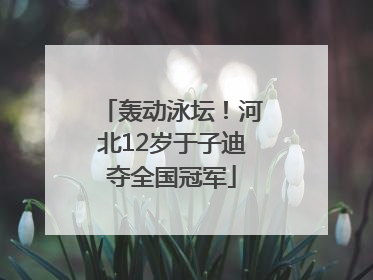 轰动泳坛！河北12岁于子迪夺全国冠军