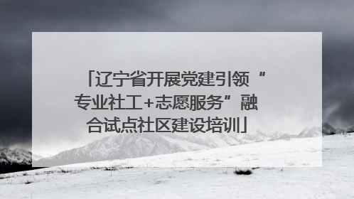 辽宁省开展党建引领“专业社工+志愿服务”融合试点社区建设培训