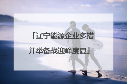 辽宁能源企业多措并举备战迎峰度夏