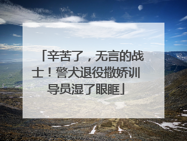 辛苦了，无言的战士！警犬退役撒娇训导员湿了眼眶