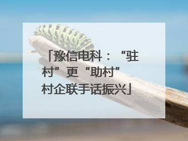 豫信电科：“驻村”更“助村” 村企联手话振兴