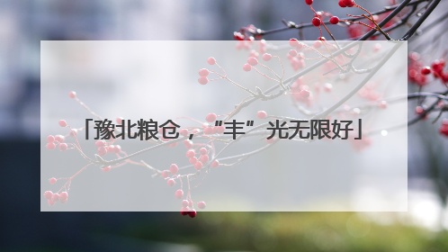 豫北粮仓，“丰”光无限好
