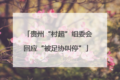 贵州“村超”组委会回应“被足协叫停”