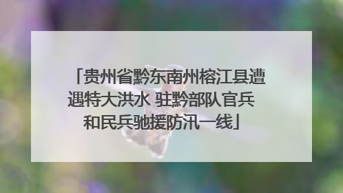 贵州省黔东南州榕江县遭遇特大洪水 驻黔部队官兵和民兵驰援防汛一线
