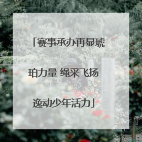 赛事承办再显琥珀力量 绳采飞扬逸动少年活力