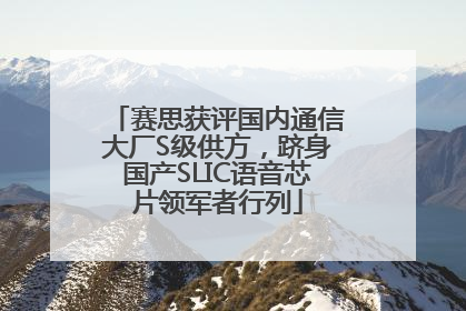 赛思获评国内通信大厂S级供方，跻身国产SLIC语音芯片领军者行列
