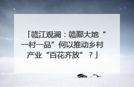 赣江观澜：赣鄱大地“一村一品”何以推动乡村产业“百花齐放”？