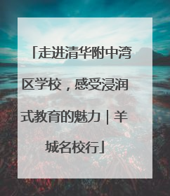 走进清华附中湾区学校，感受浸润式教育的魅力｜羊城名校行