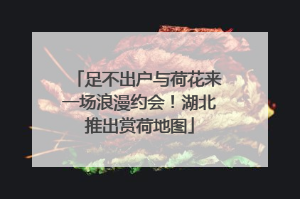 足不出户与荷花来一场浪漫约会！湖北推出赏荷地图