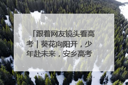 跟着网友镜头看高考｜葵花向阳开，少年赴未来，安乡高考首日的希望图景