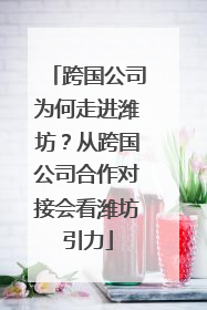 跨国公司为何走进潍坊？从跨国公司合作对接会看潍坊引力