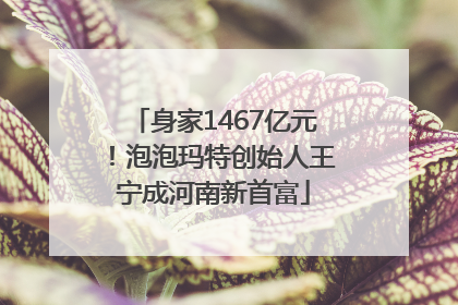 身家1467亿元！泡泡玛特创始人王宁成河南新首富