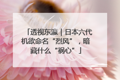 透视东瀛｜日本六代机欲命名“烈风”，暗藏什么“祸心”