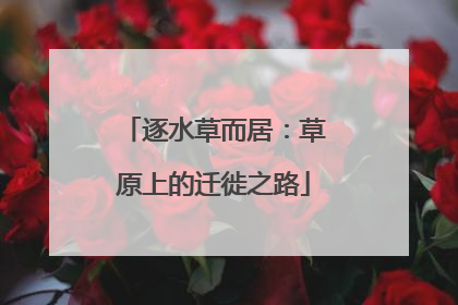逐水草而居：草原上的迁徙之路