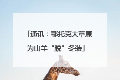通讯：鄂托克大草原为山羊“脱”冬装