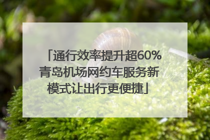 通行效率提升超60% 青岛机场网约车服务新模式让出行更便捷