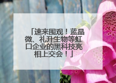 速来围观！蓝晶微、礼升生物等虹口企业的黑科技亮相上交会！