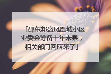 邵东邦盛凤凰城小区业委会筹备十年未果，相关部门回应来了