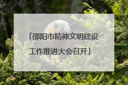 邵阳市精神文明建设工作推进大会召开