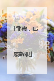邹霞，已履新职