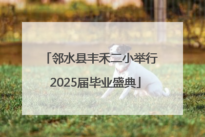 邻水县丰禾二小举行2025届毕业盛典