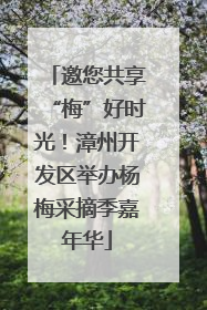 邀您共享“梅”好时光！漳州开发区举办杨梅采摘季嘉年华