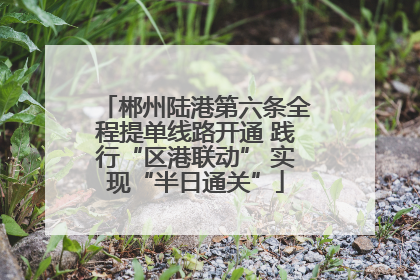 郴州陆港第六条全程提单线路开通 践行“区港联动” 实现“半日通关”