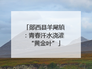 郧西县羊尾镇：青春汗水浇灌“黄金叶”