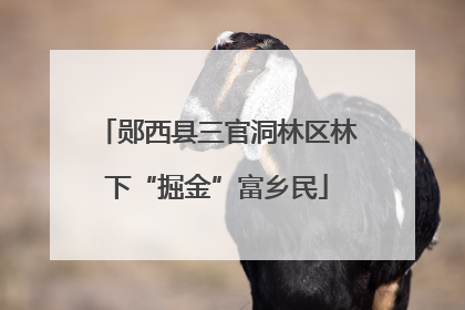 郧西县三官洞林区林下“掘金”富乡民